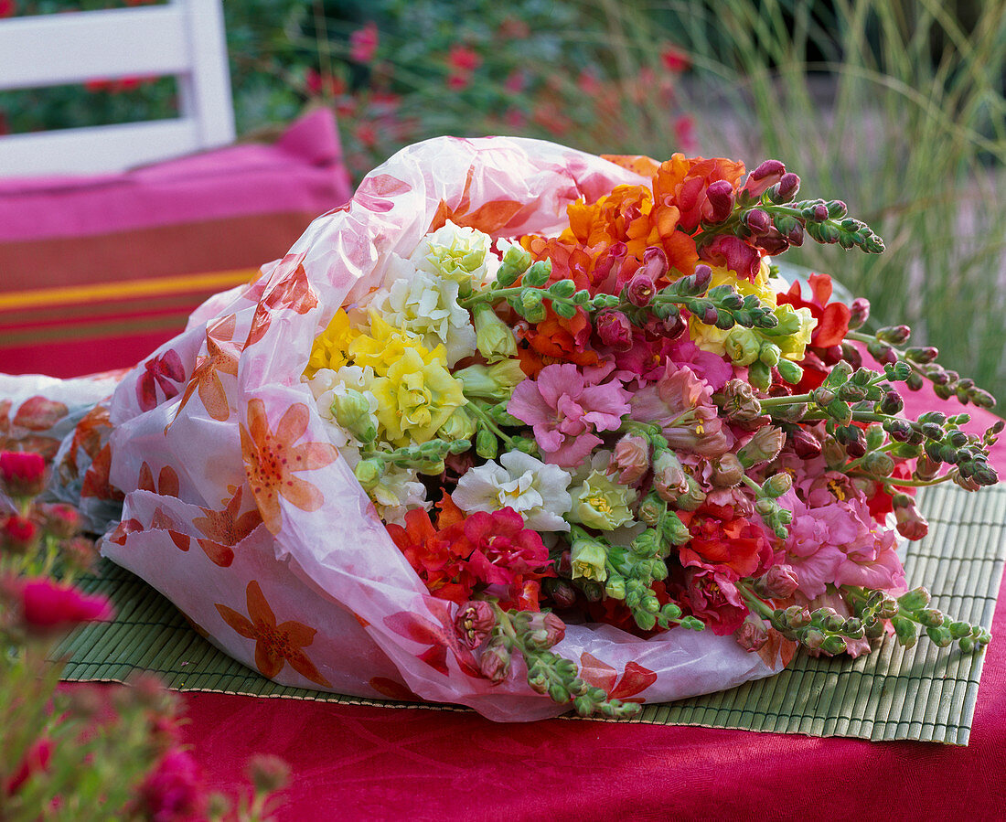 Antirrhinum (snapdragon) bouquet in paper