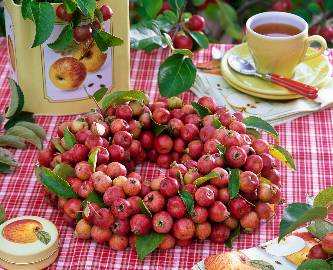 Wreath made of malus (ornamental apple), cup with tea, tin