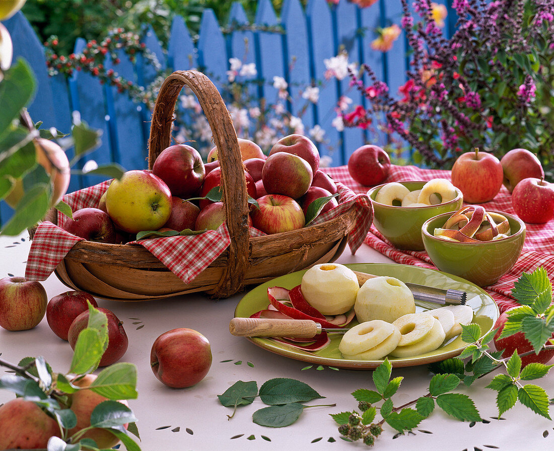 Malus (Äpfel) für Apfelpfannkuchen vorbereiten: Äpfel frisch geerntet im Korb