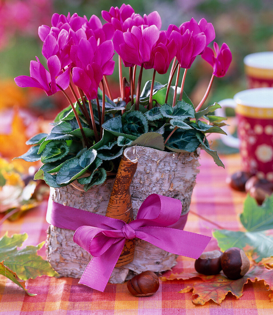 Pot wrapped in birch bark