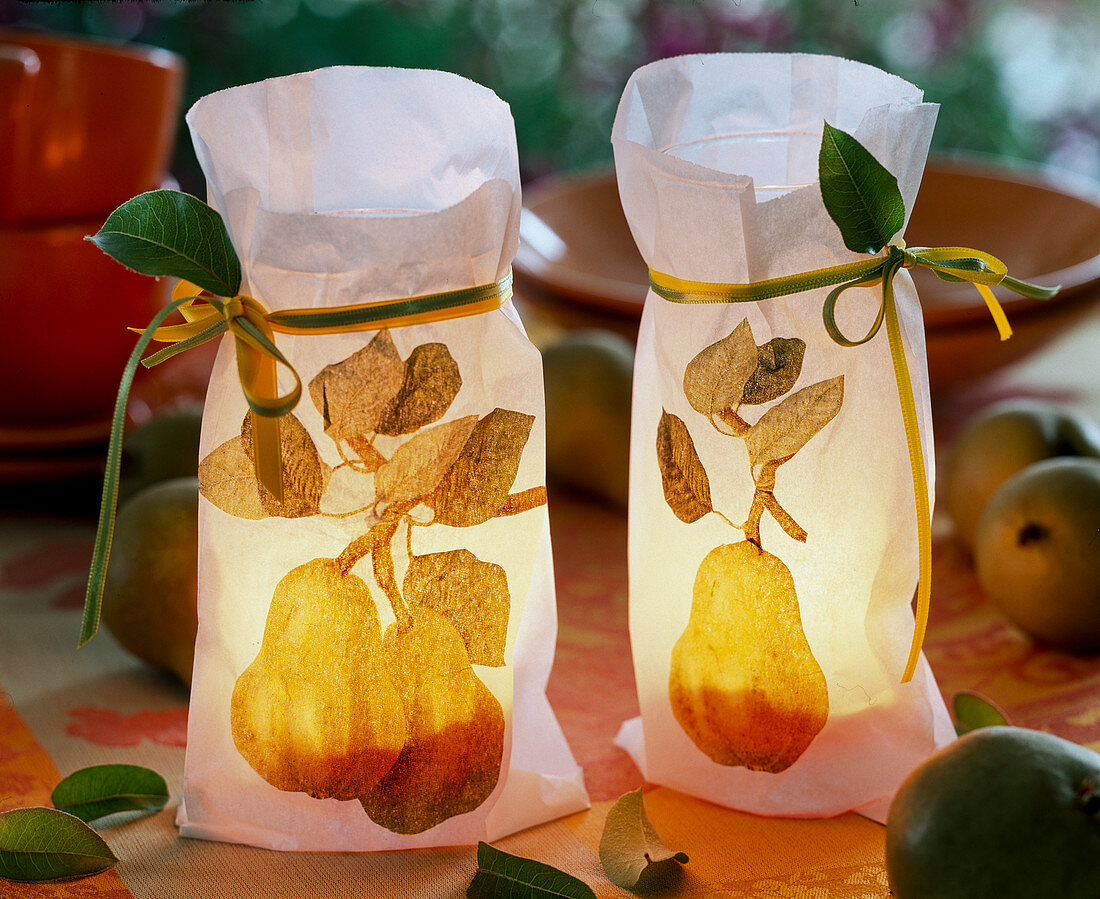 Paper sandwich bags with napkin technique as lanterns