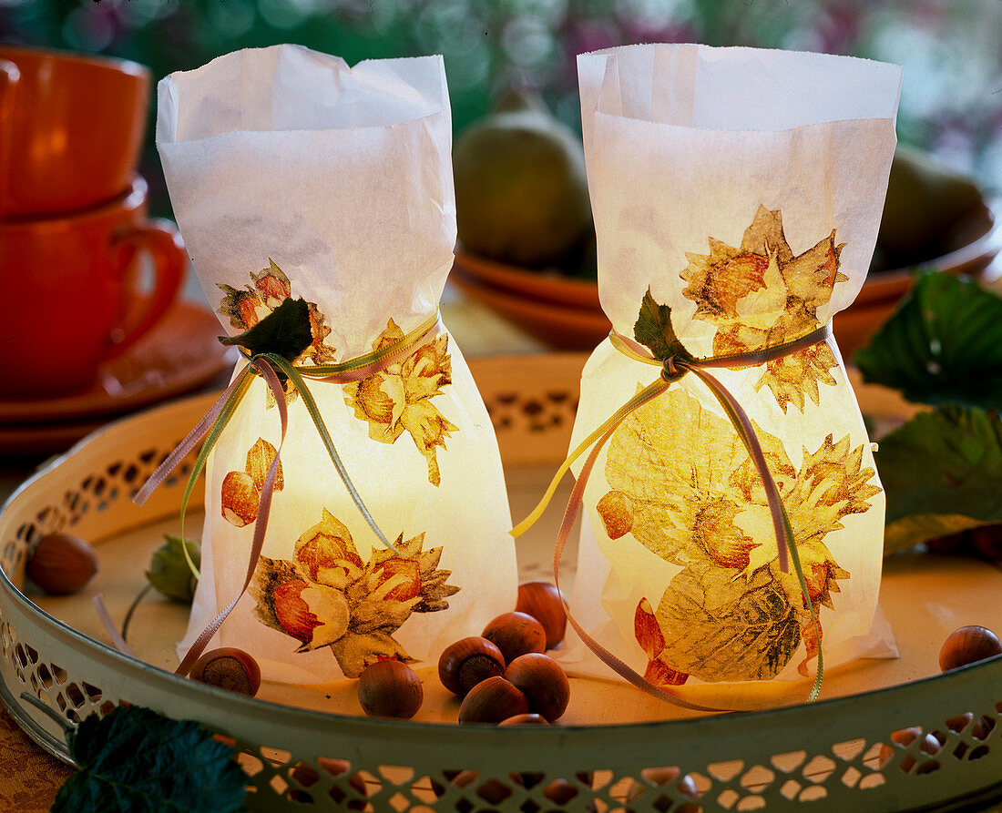 Paper sandwich bags with napkin technique as lanterns