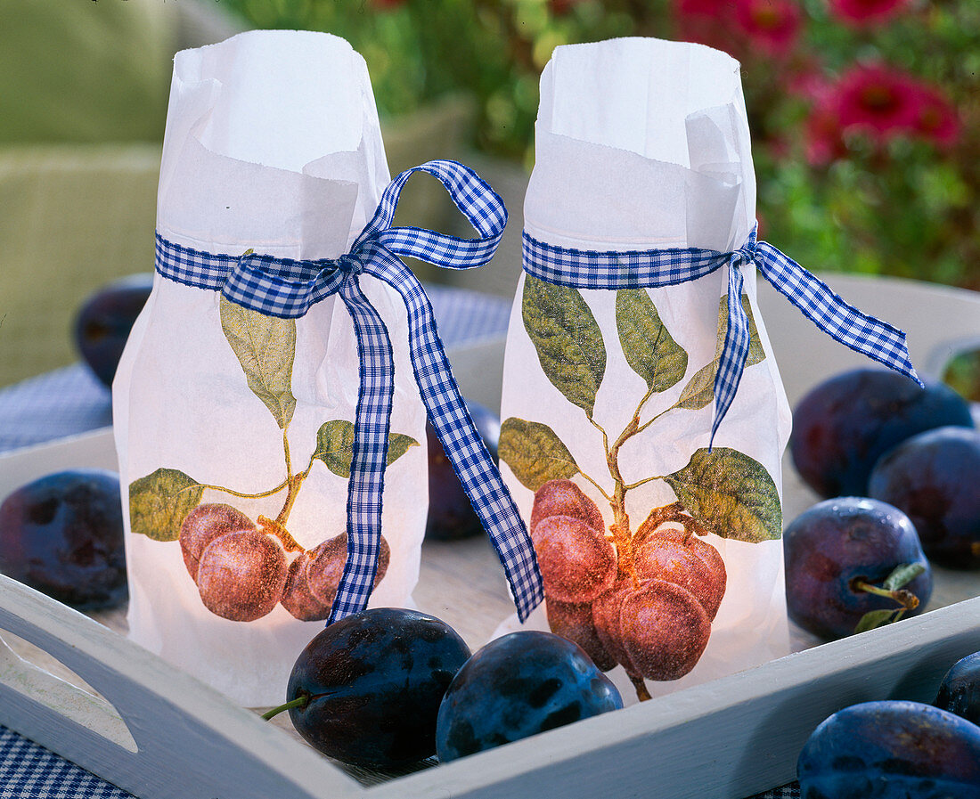 Paper sandwich bags with napkin technique as lanterns