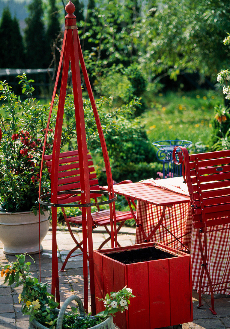 Planting a red pot with Thunbergia (1/10)