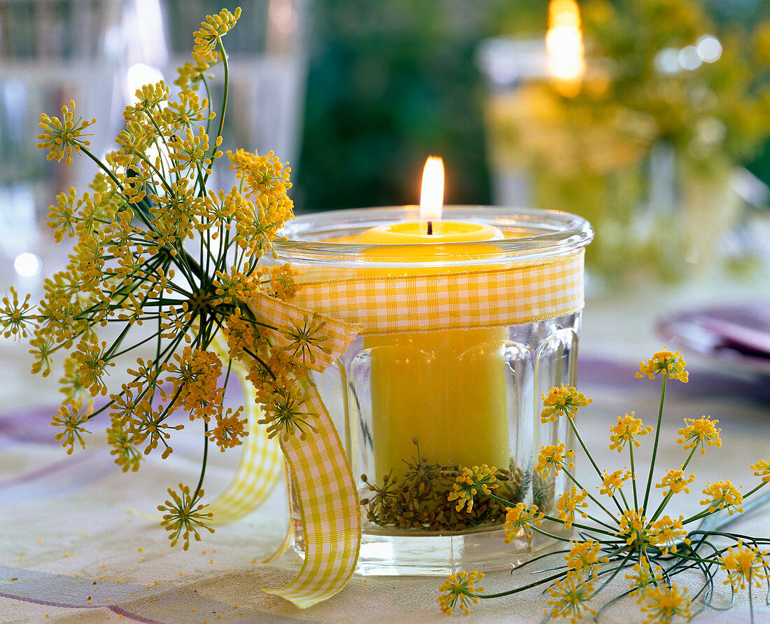 Lantern in glass with foeniculum (fennel)