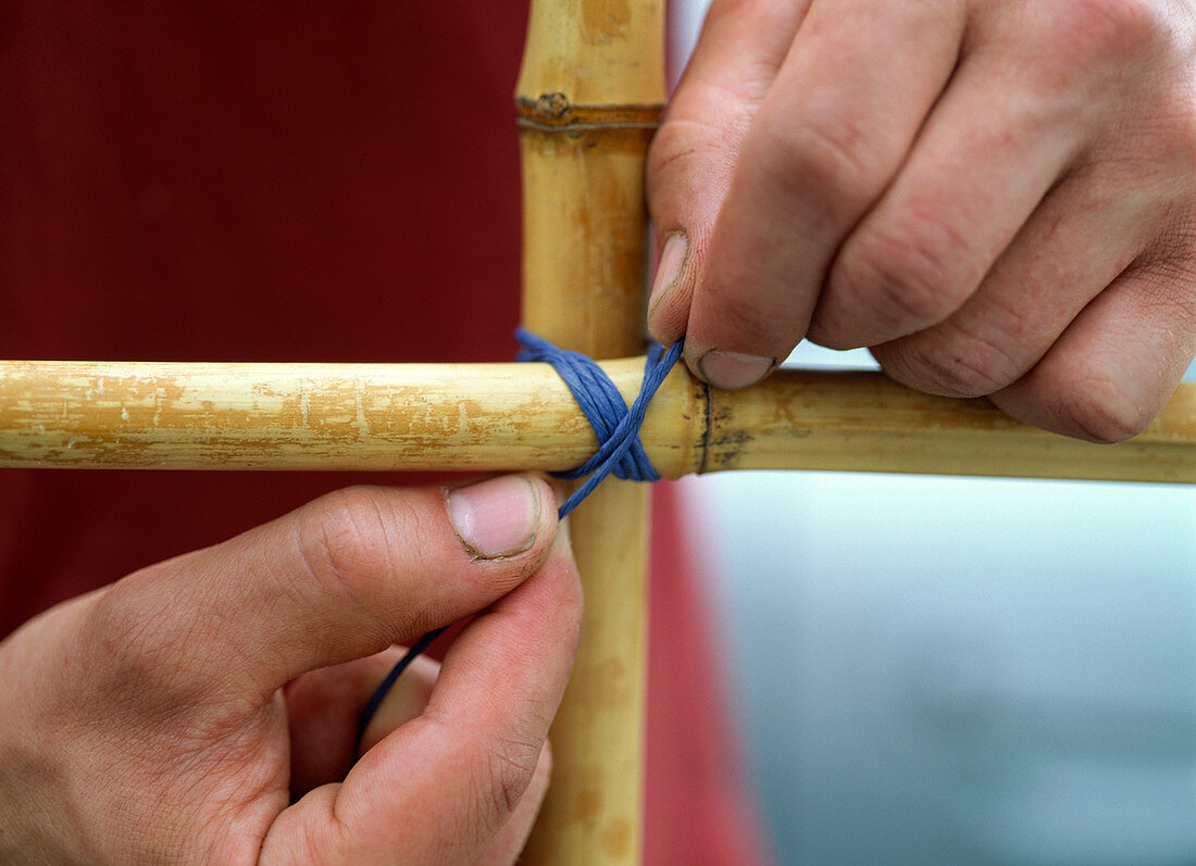 Building a screen from Ipomoea (4/7)