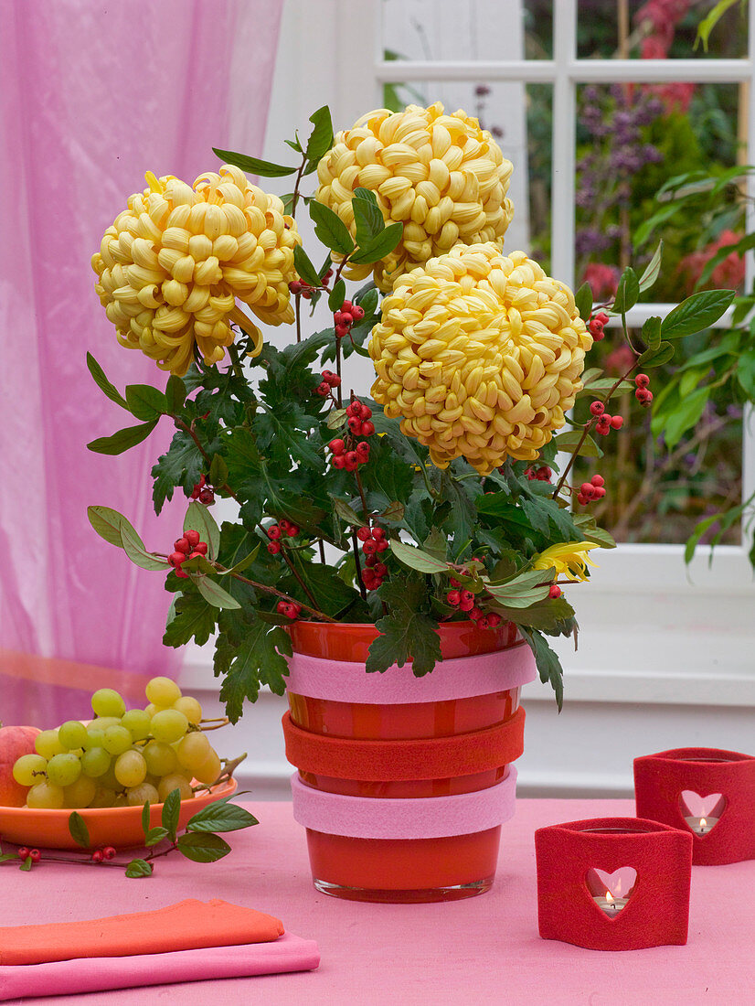 Chrysanthemum (grossblumige Herbstchrysantheme) dekoriert mit Zweigen