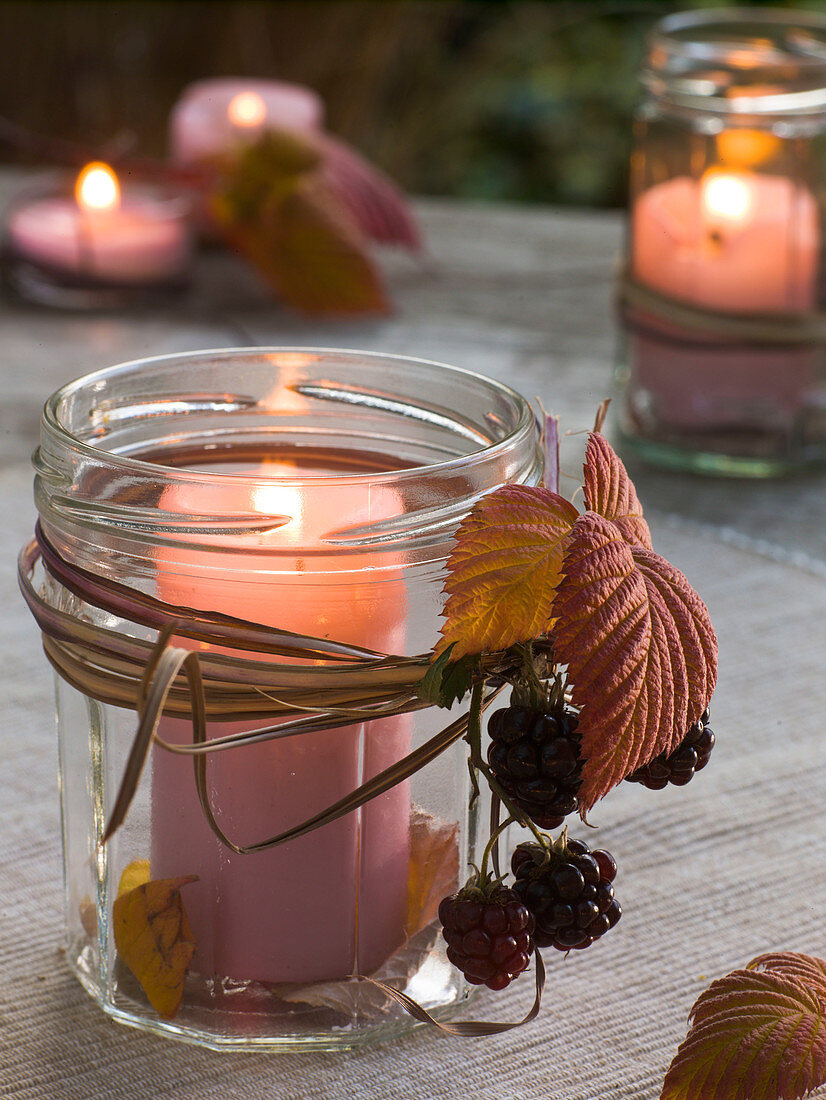 Wind light with Rubus (blackberries, berries and leaves) and dry Miscanthus