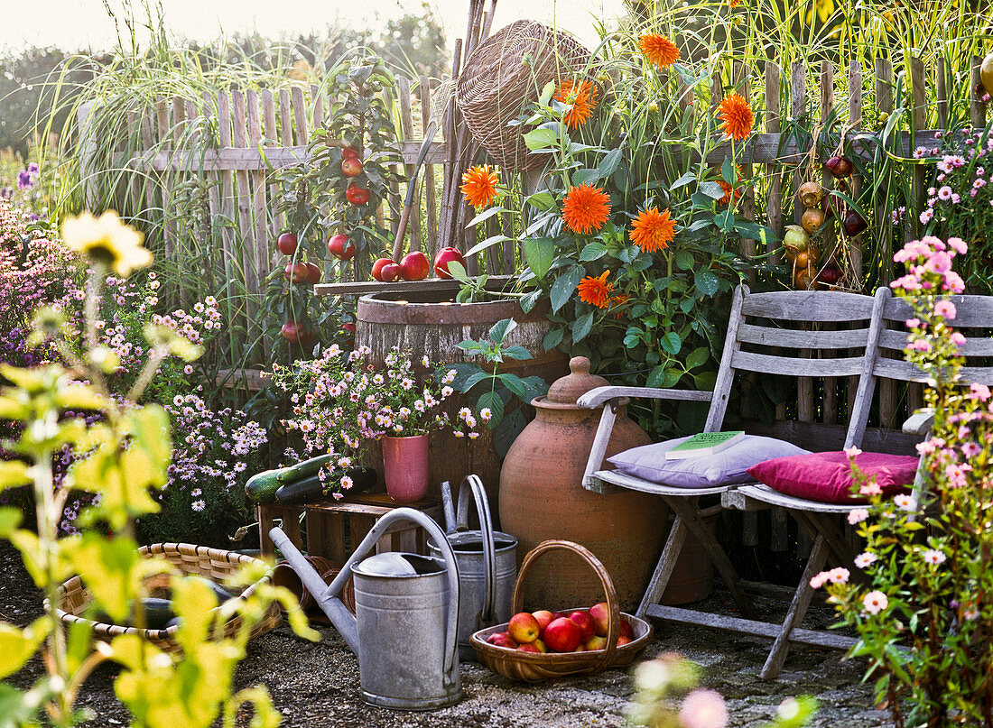 Seating in the cottage garden next to terracotta pot