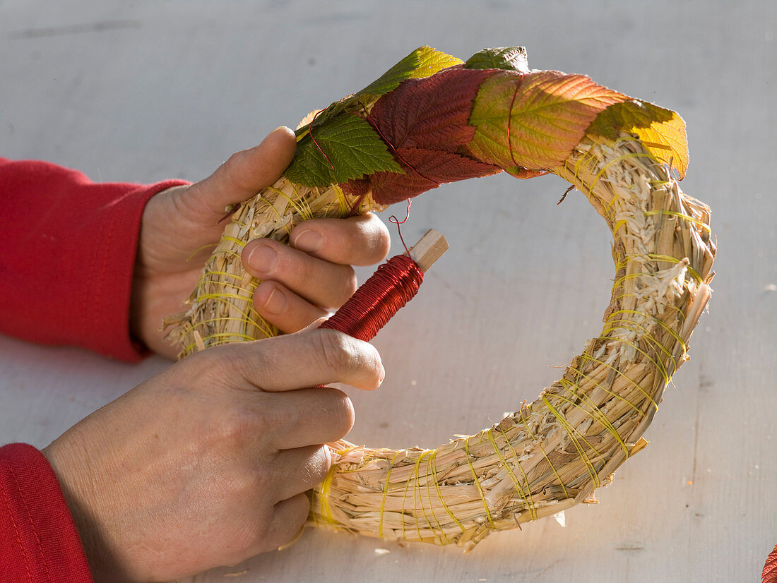 Wreath with autumn leaves of blackberries