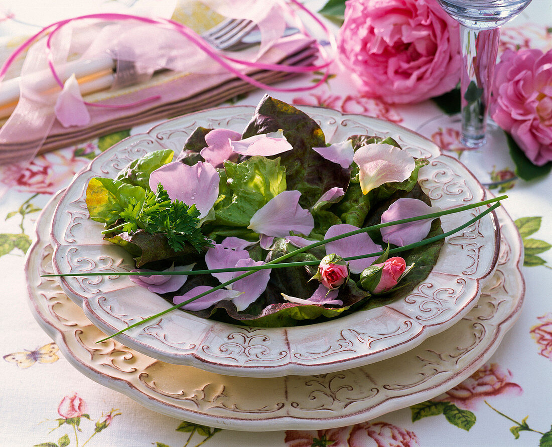 Lactuca (lettuce), Petroselinum (parsley), Allium