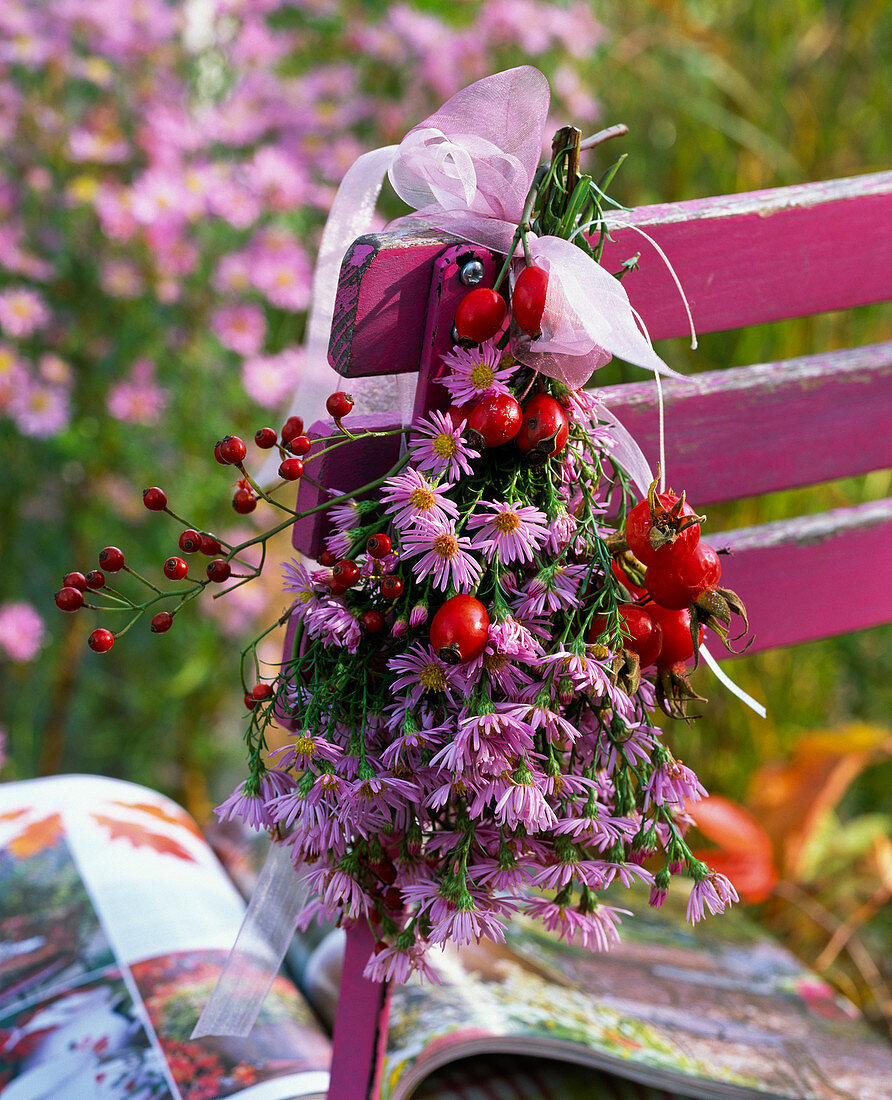 Bouquet of aster (autumn aster) and rose hips hanging upside down on the back of a chair
