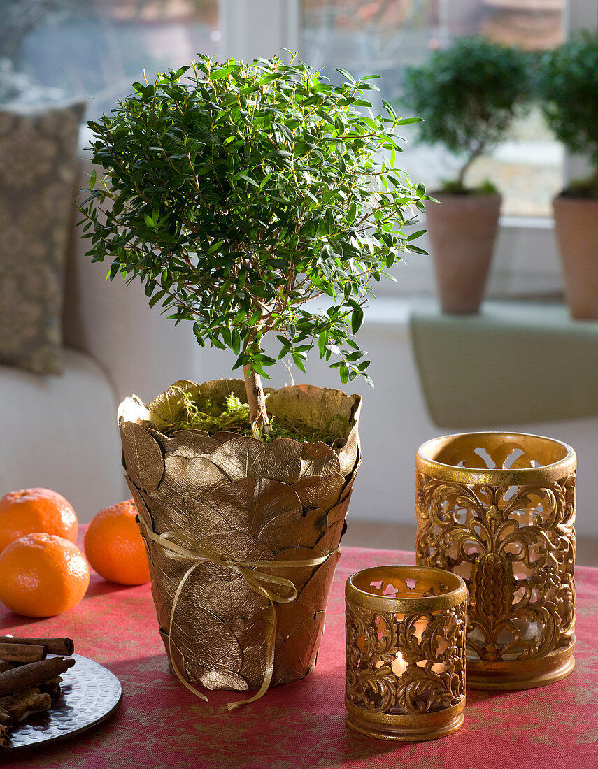 Planter with gilded leaves