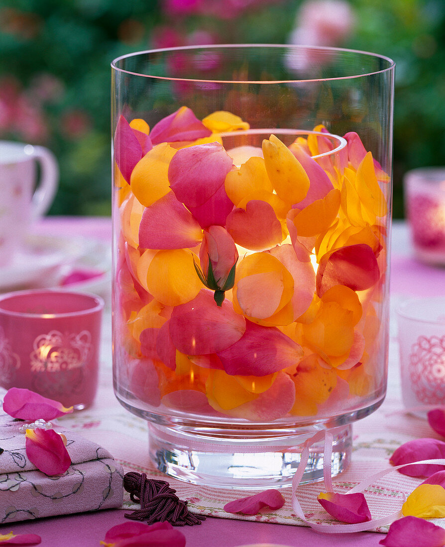 Windlicht mit Blütenblättern von Rosa (Rosen) in Zwischenraum