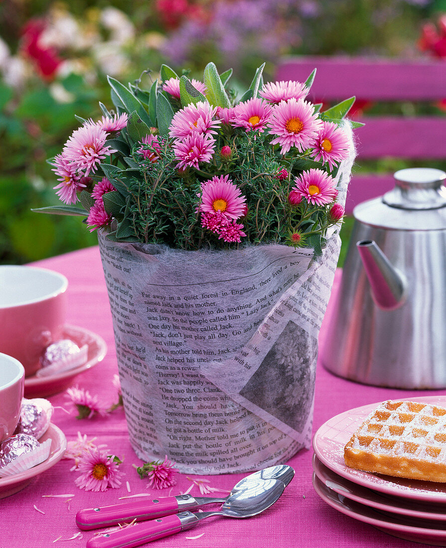 Aster (Herbstaster), Thymus (Thymian), Salvia (Salbei) mit Geschenkvlies