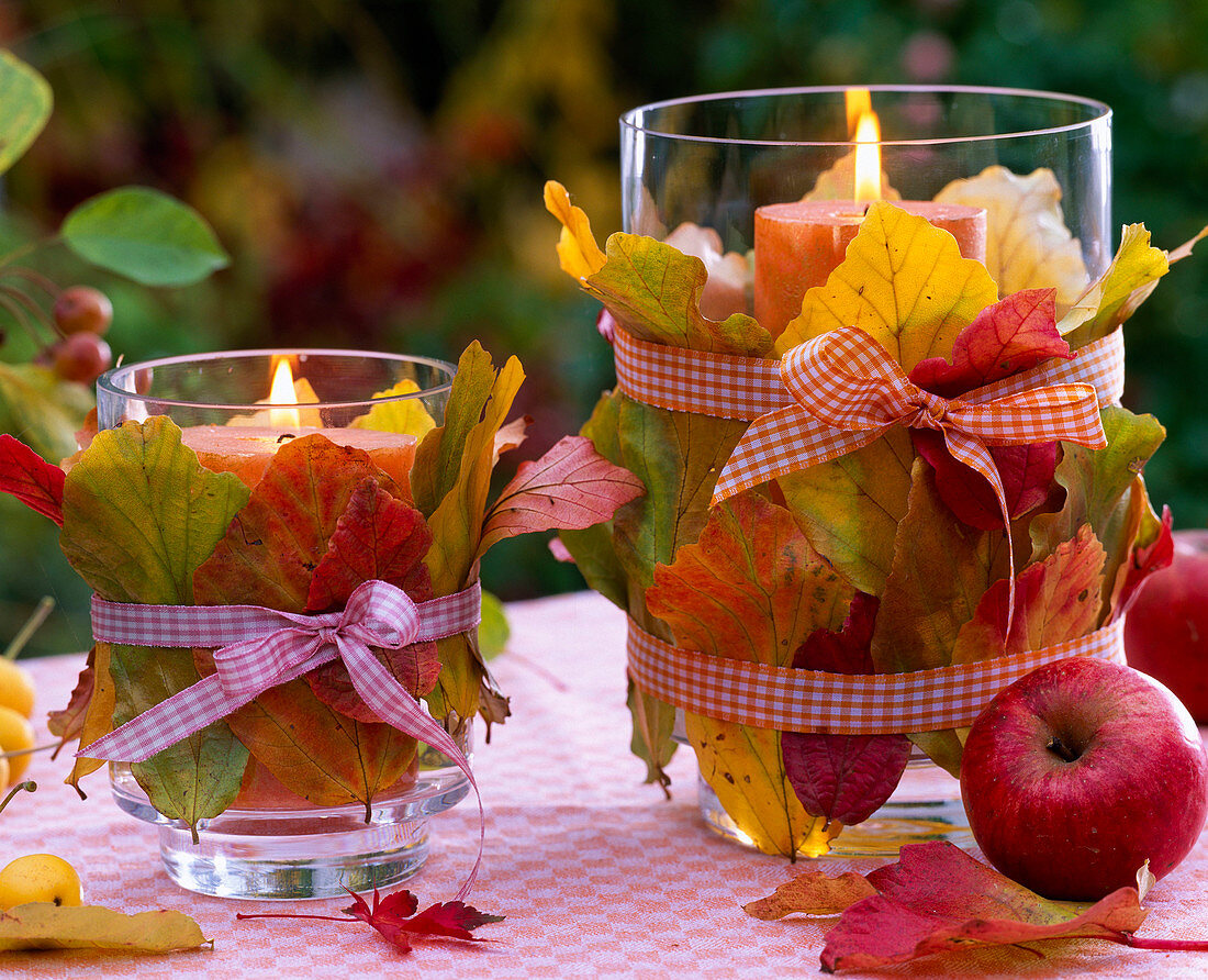 Windlichter mit Herbstlaub von Parrotia (Parrotie) und Schleife, Malus