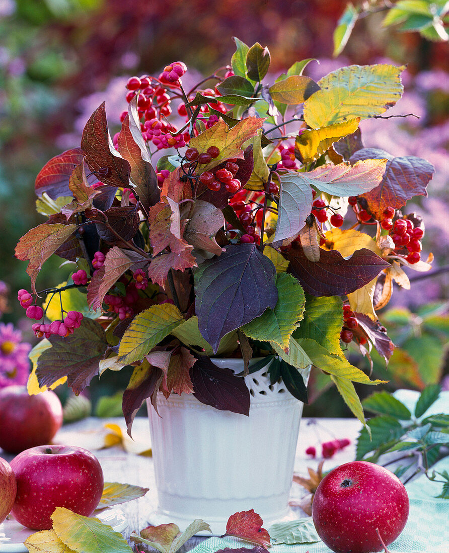 Bouquet of autumn leaves of Cornus, Hydrangea