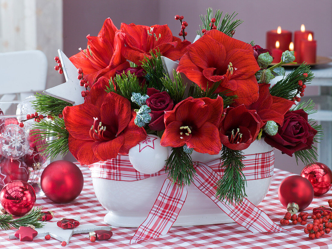 Red and white arrangement with Hippeastrum (Amaryllis)