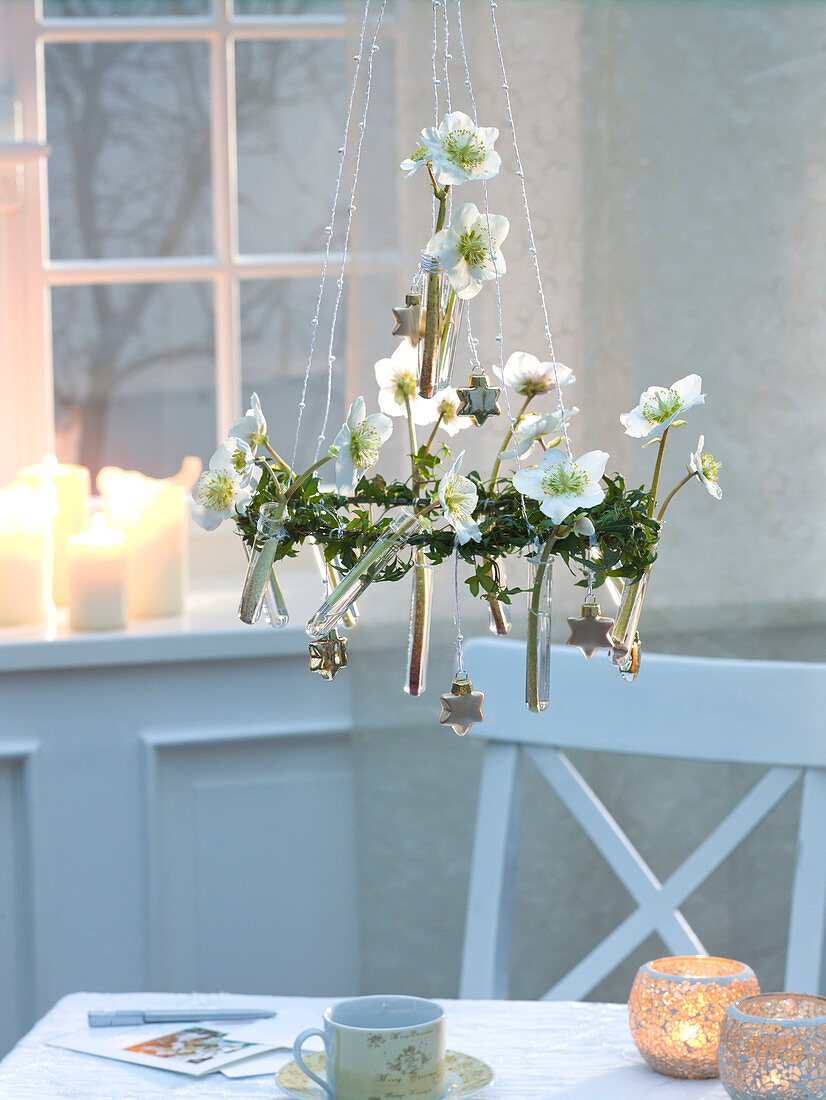 Hanging wreath with Helleborus niger (Christmas roses)
