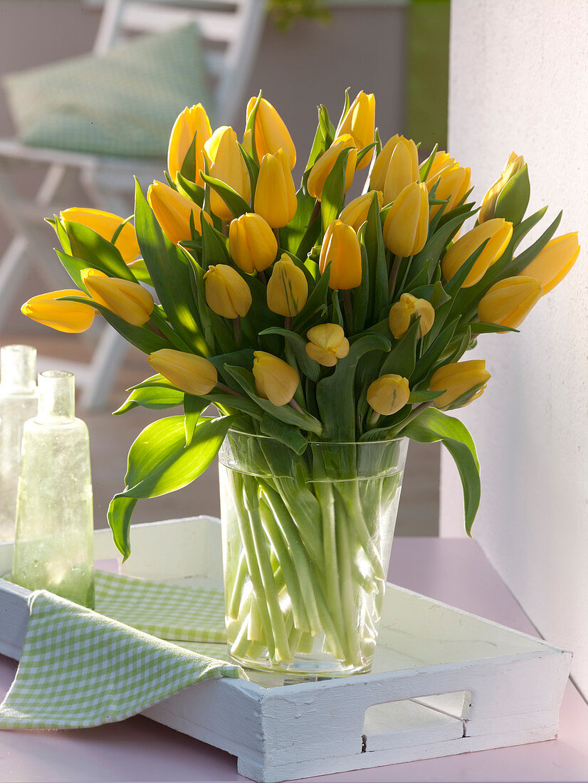 Tulipa (tulips) in glass vase on wooden tray