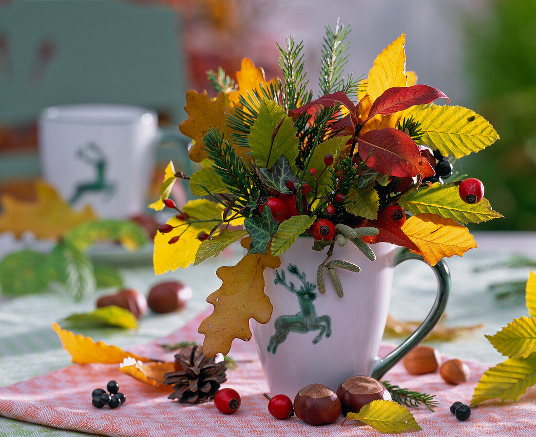 Small bouquet of autumn leaves of Quercus, Carpinus