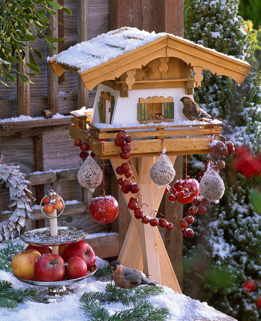 Bird Feeder with birds, dumplings, Malus, Etagere