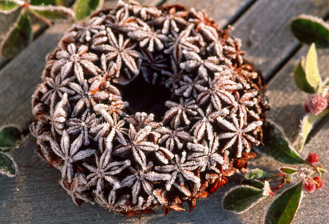 Wreath with star anise in hoarfrost