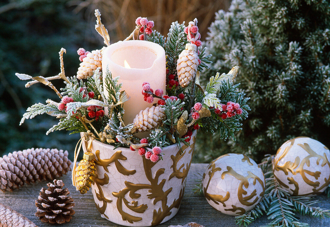 Arrangement with Abies (fir), Chamaecyparis (false cypress), Ilex