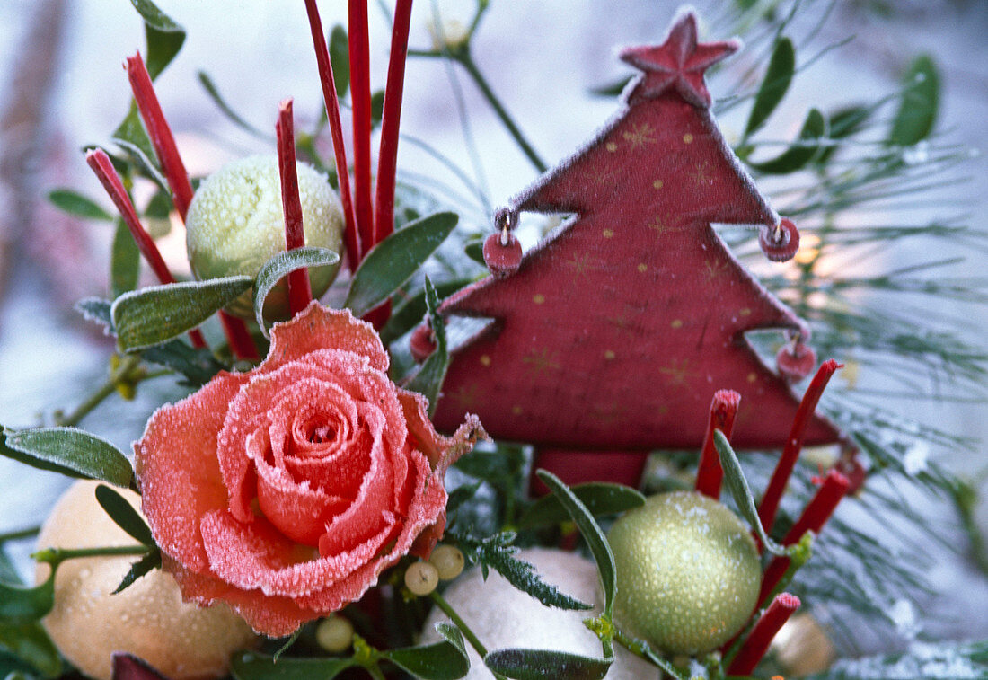 Pink (rose), Viscum (mistletoe), stylised Christmas tree