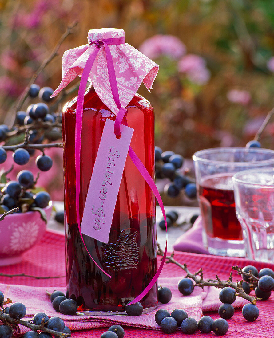 Gin mit Prunus spinosa (Schlehen) in Flasche mit Etikette 'Schlehen - Gin'