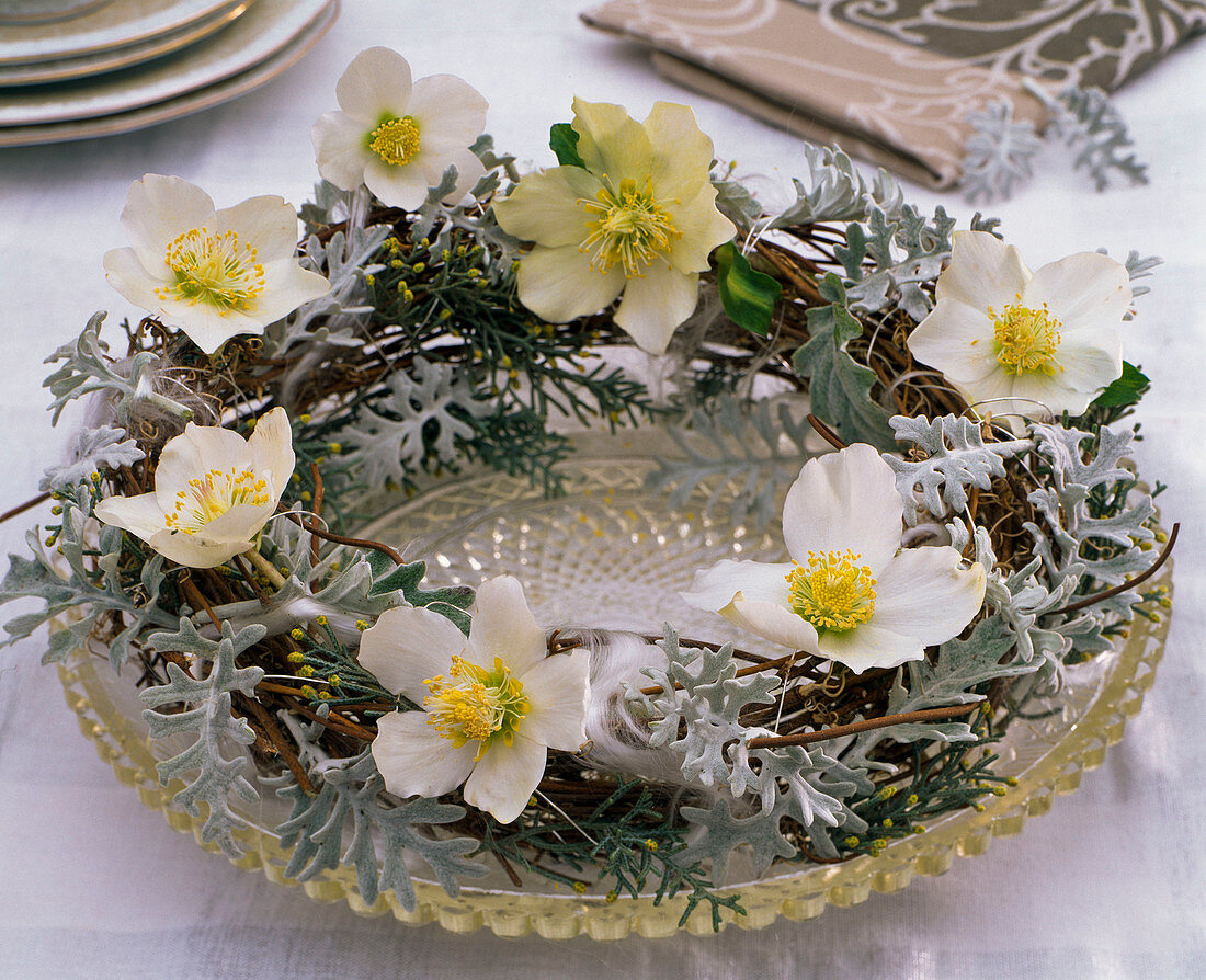 Wreath of Vitis (grapevine) with Helleborus (Christmas roses)