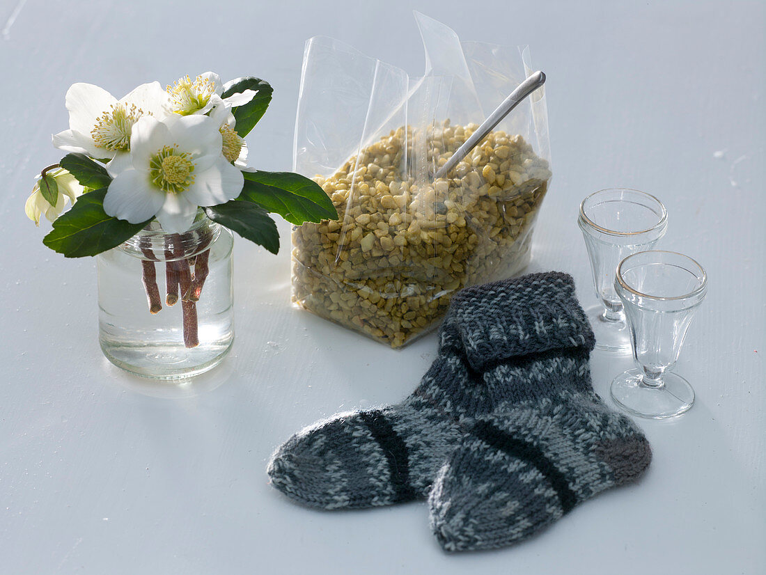 Christmas roses in self-knitted socks (1/4)