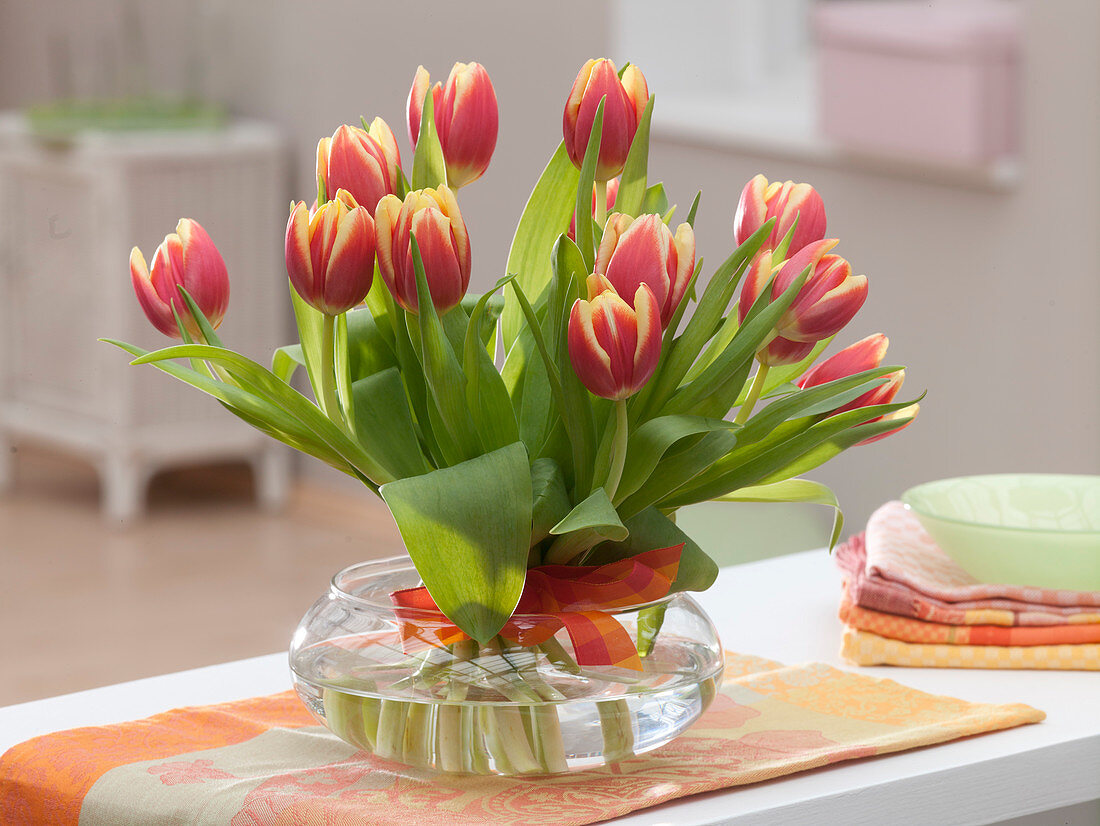 Stehstrauß aus Tulipa (Tulpen) mit Schleifenband in Glasschale