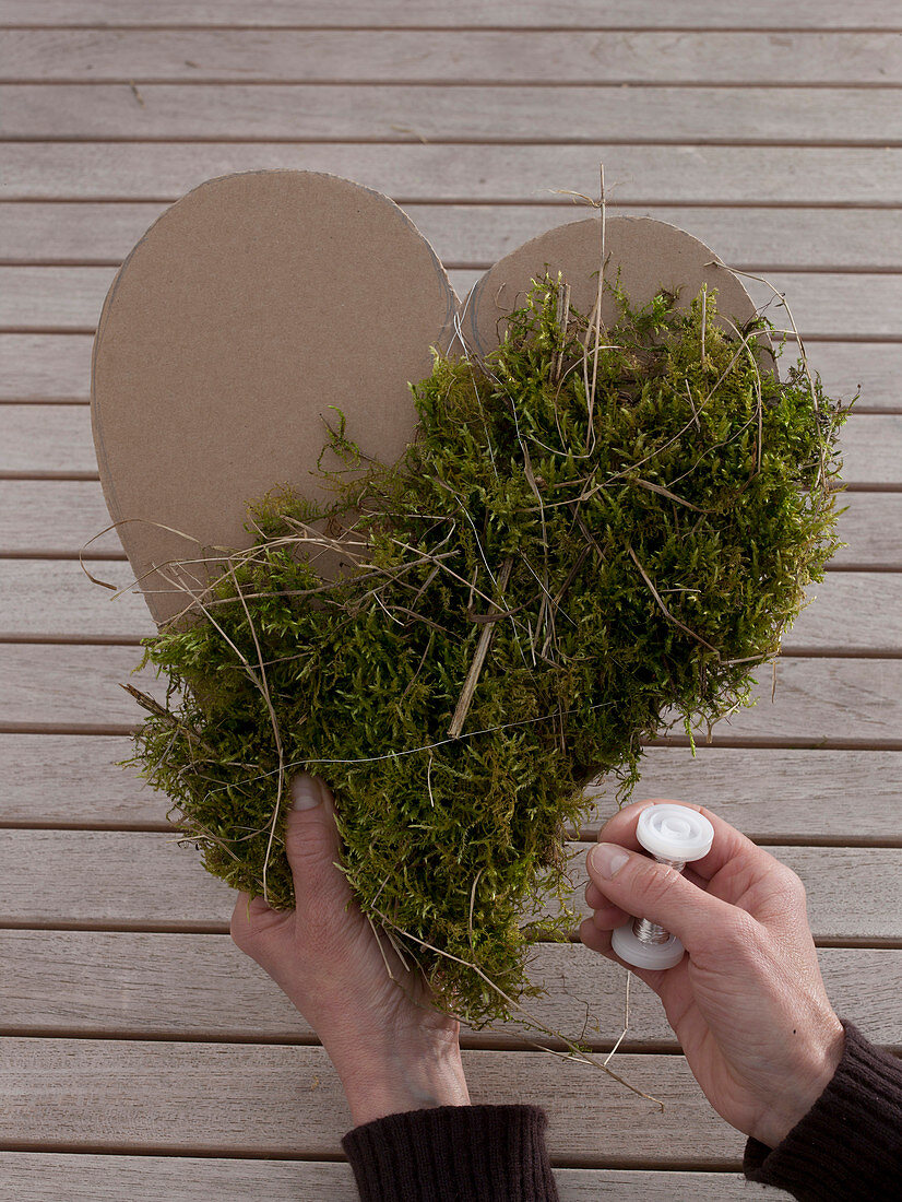 Moss heart on cardboard