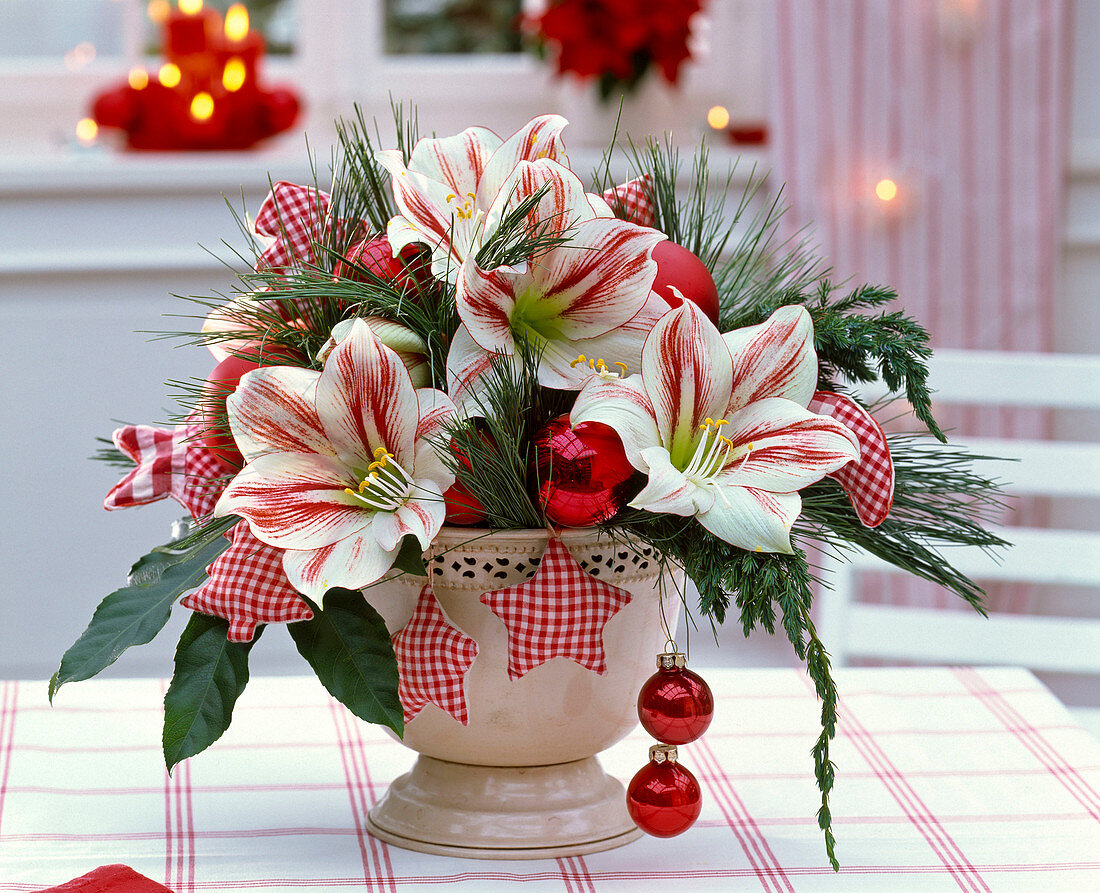 Bouquet of Hippeastrum, Pinus, Juniperus