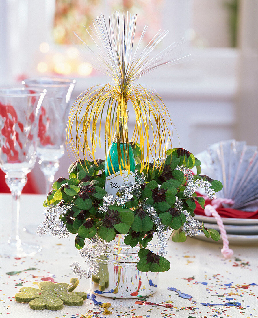 Oxalis deppei with deco bottle and New Year's decoration