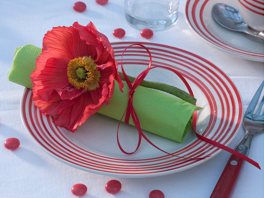 Papaver (Seidenmohn) auf grüner zusammengerollter Serviette