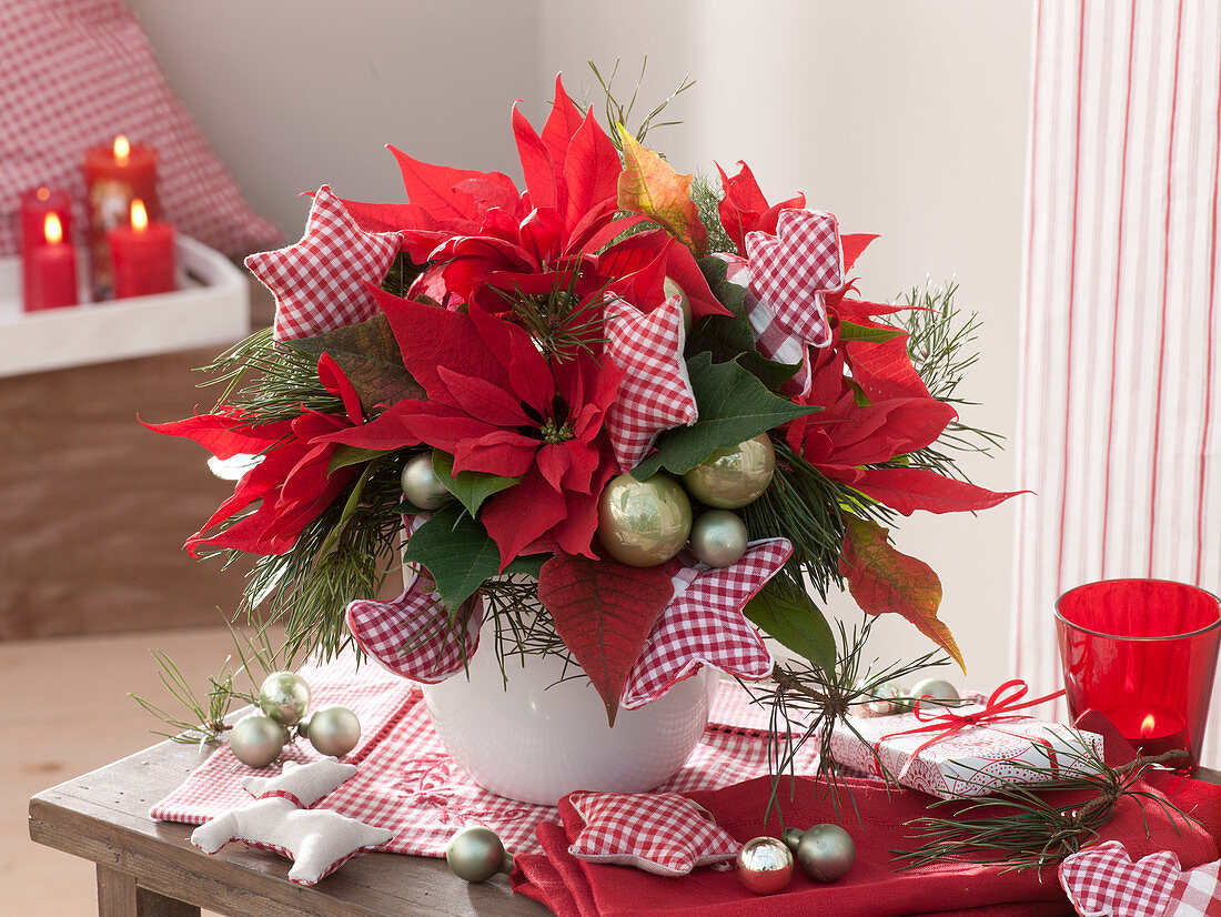 Euphorbia pulcherrima (Poinsettia) Christmas bouquet