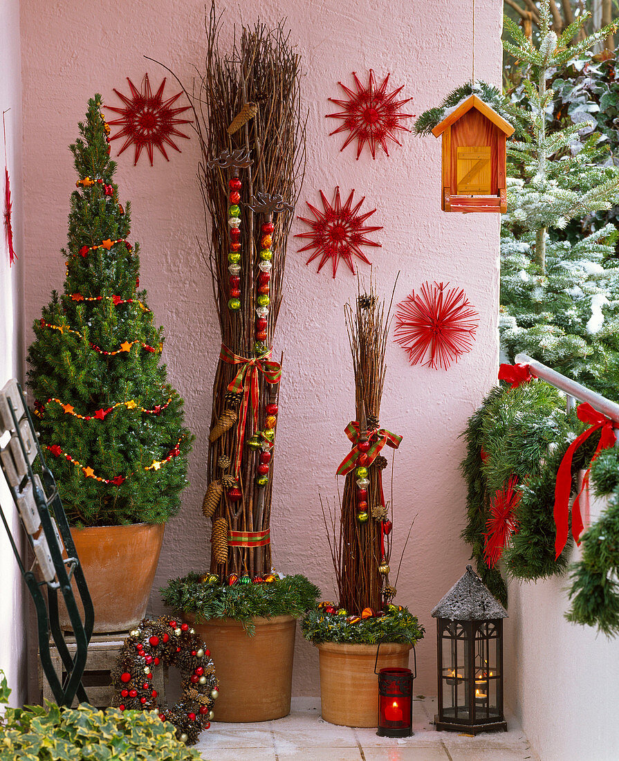 Christmas balcony with Picea 'Conica' (Canadian spruce)