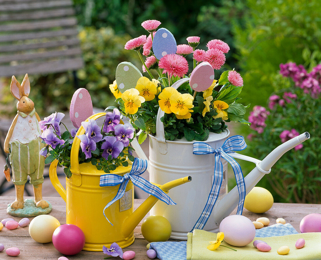 Metal watering can with Viola cornuta (horn violet)