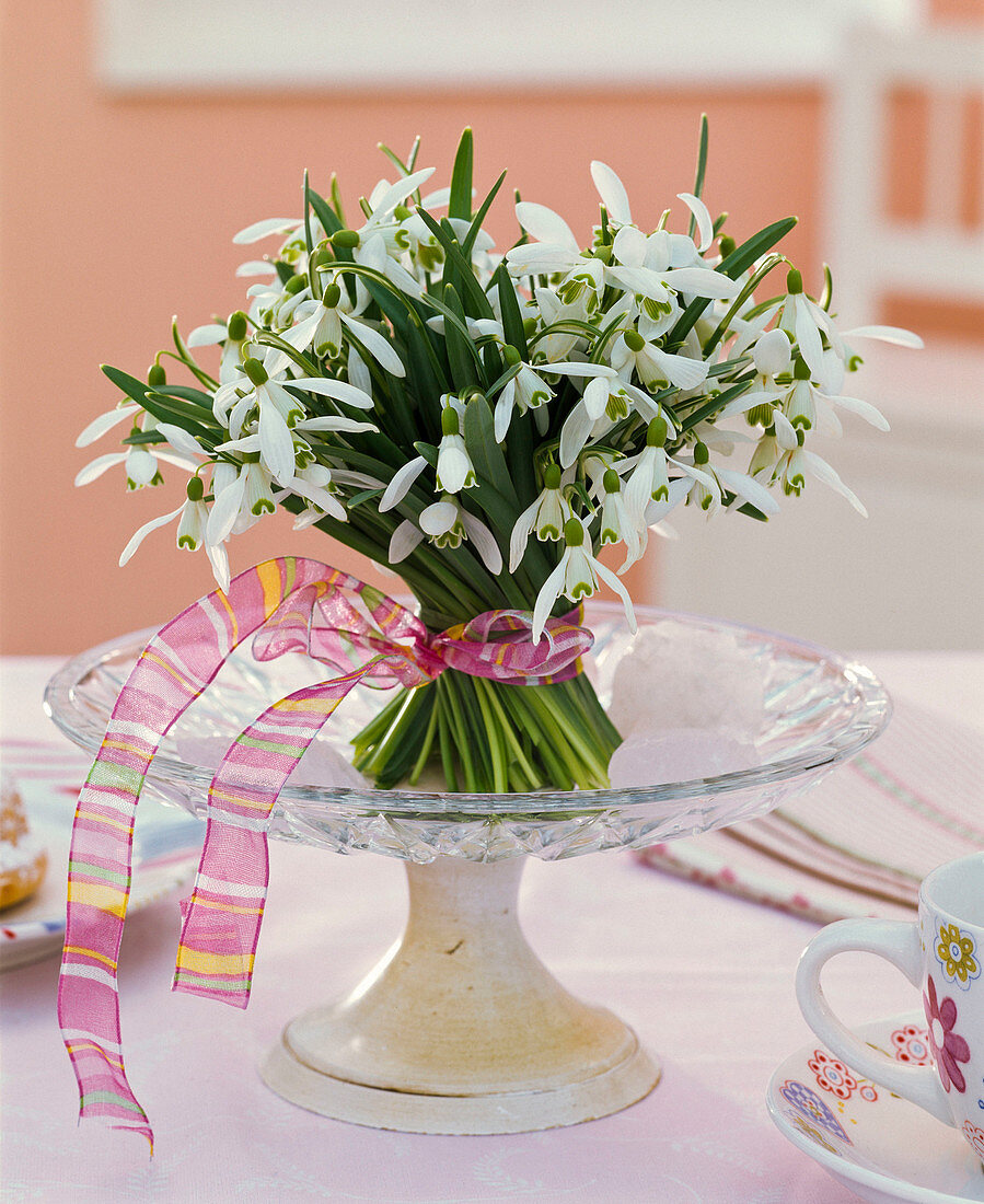 Stehstrauß aus Galanthus (Schneeglöckchen) auf Schale mit Fuß, Schleife