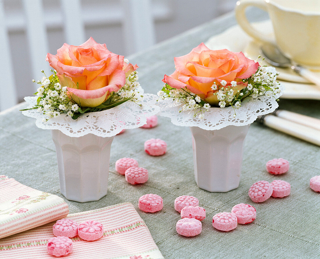 Rosa (Rosen), Gypsophila (Schleierkraut) in Manschetten, Bonbons