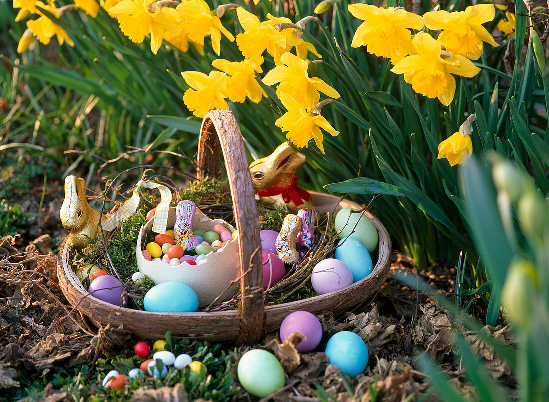 Easter nest in basket with wreath of Betula (birch) with Easter eggs, sugar eggs