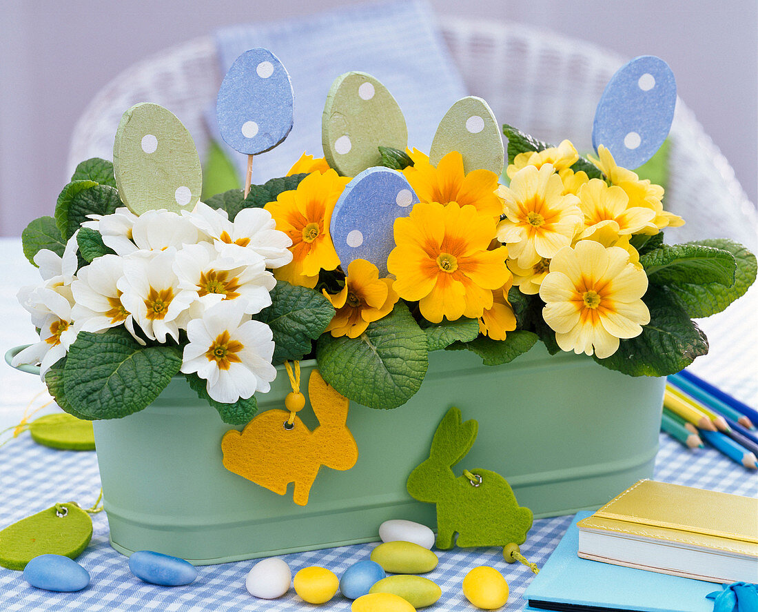 Primula in jardiniere, decorated with Easter eggs plugs