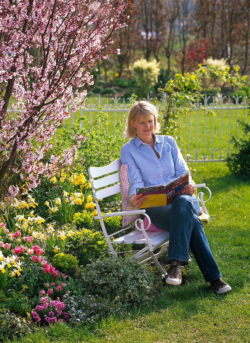 Frau auf Bank an Frühlingsbeet mit Prunus sargentii (Scharlachkirsche)