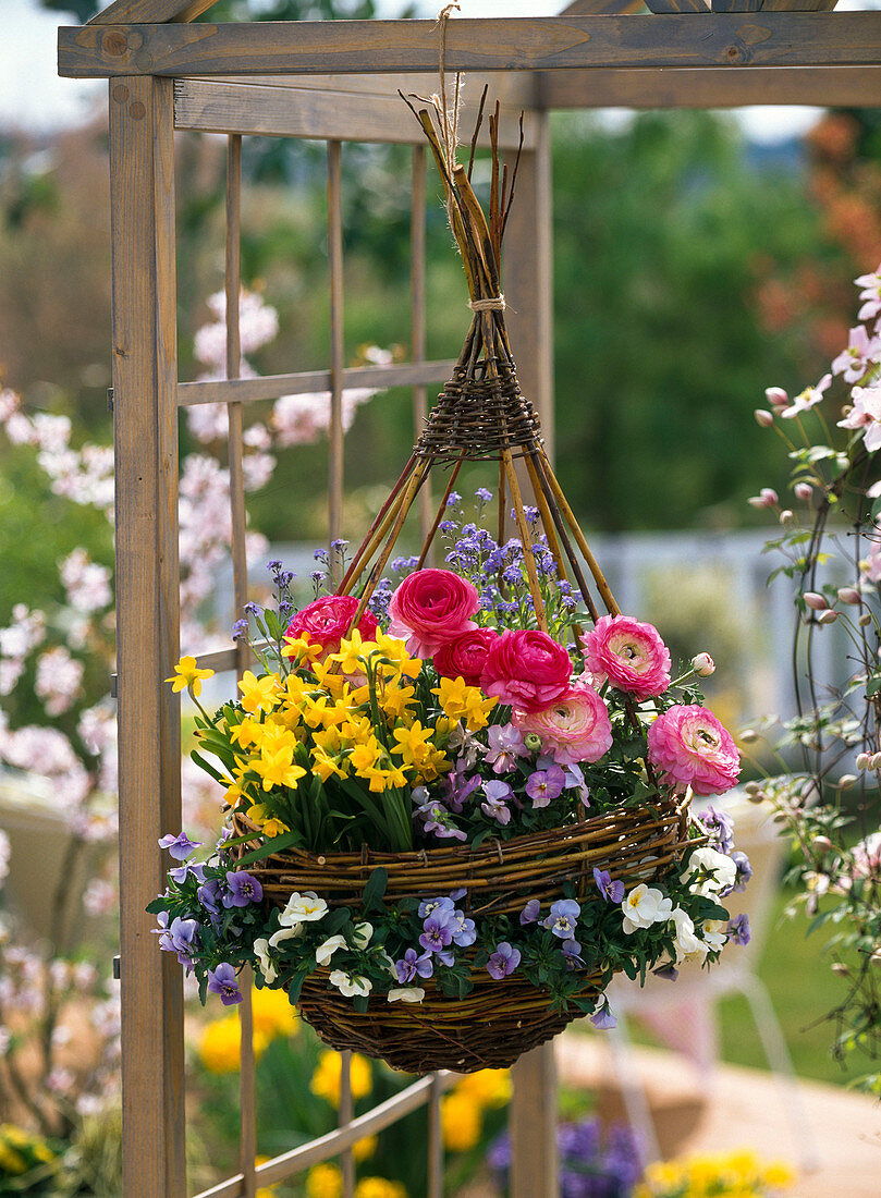 Braided wicker basket with ranunculus hung up