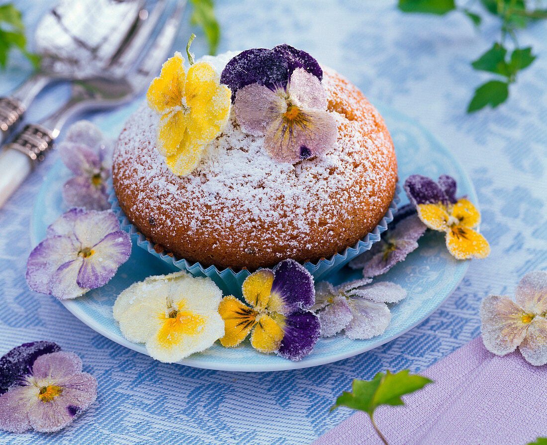 Sugared Viola cornuta (horn violet) flowers on muffin