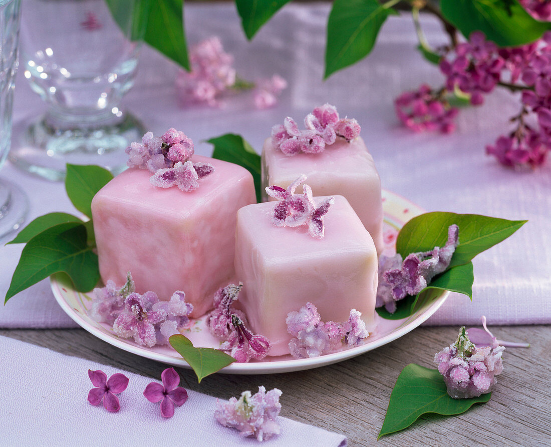 Sugared flowers of syringa (lilac) on petit-fours