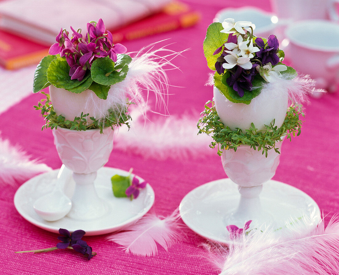 Viola odorata (fragrant violet) in blown eggs as vases