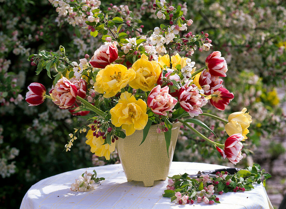 Strauß aus verschiedenen Tulipa (Tulpen) und Malus (Apfel)